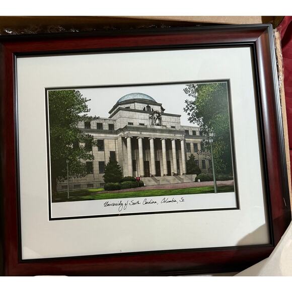 NCAA South Carolina Fighting Gamecocks University Academic Framed - Picture 1 of 5